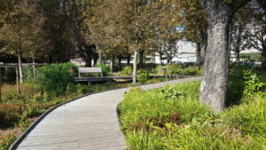 Lire la suite à propos de l’article MAISONS-ALFORT, CENTRE-VILLE