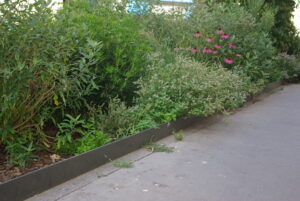 Lire la suite à propos de l’article PARIS, RUE-PERNETY