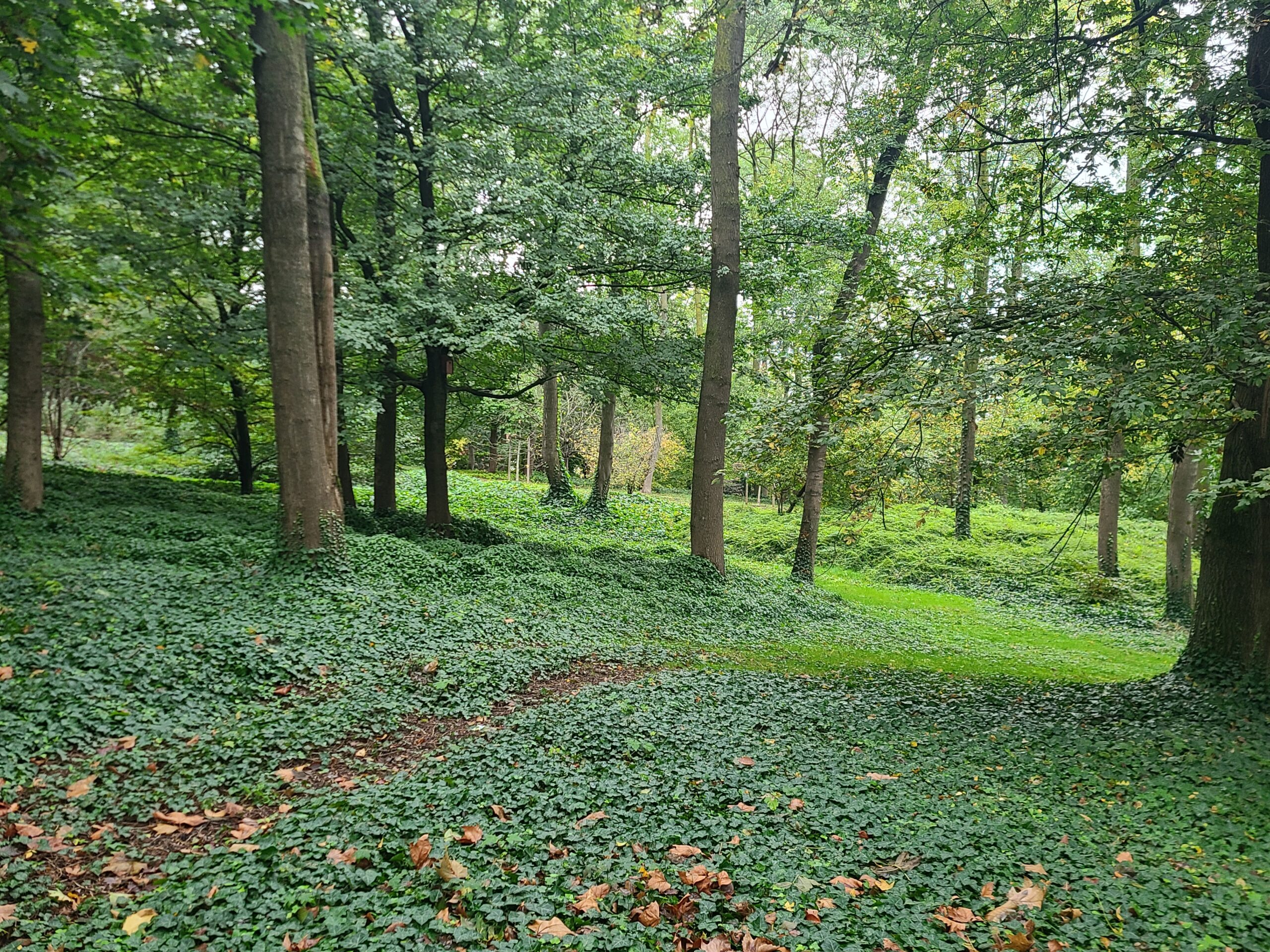 You are currently viewing BONNEUIL-SUR-MARNE, PARC-DU-RANCY