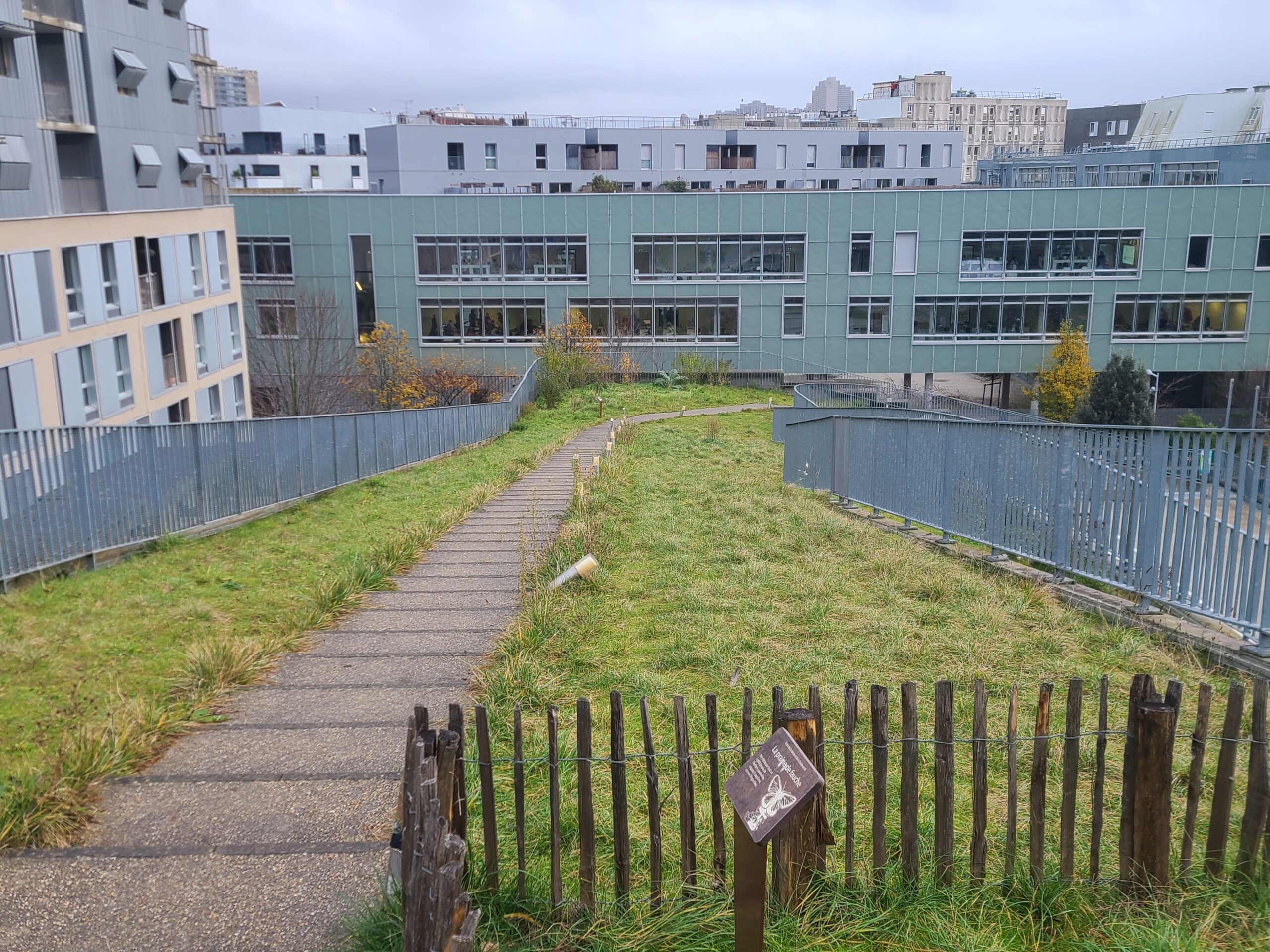 You are currently viewing BOULOGNE-BILLANCOURT, ECOLE-PRIMAIRE-DES-SCIENCES-ET-DE-LA-BIODIVERSITE