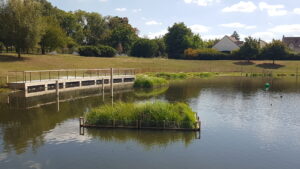 Lire la suite à propos de l’article CERGY, VILLE
