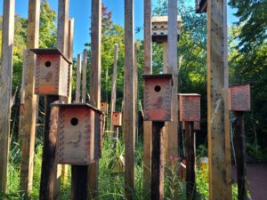 Lire la suite à propos de l’article CHAUMONT-SUR-LOIRE, FESTIVAL-DES-JARDIN-2024