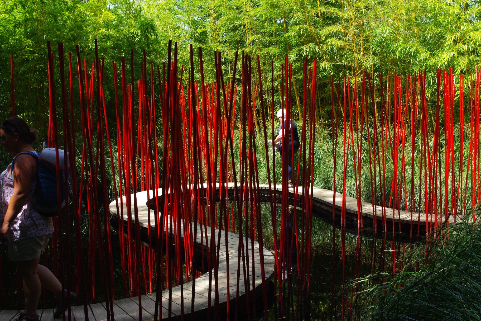 You are currently viewing CHAUMONT-SUR-LOIRE, FESTIVAL-DES-JARDINS-2017