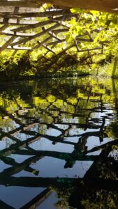 Lire la suite à propos de l’article CHAUMONT-SUR-LOIRE, FESTIVAL-DES-JARDINS-2021