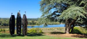 Lire la suite à propos de l’article CHAUMONT-SUR-LOIRE, FESTIVAL-DES-JARDINS-2022