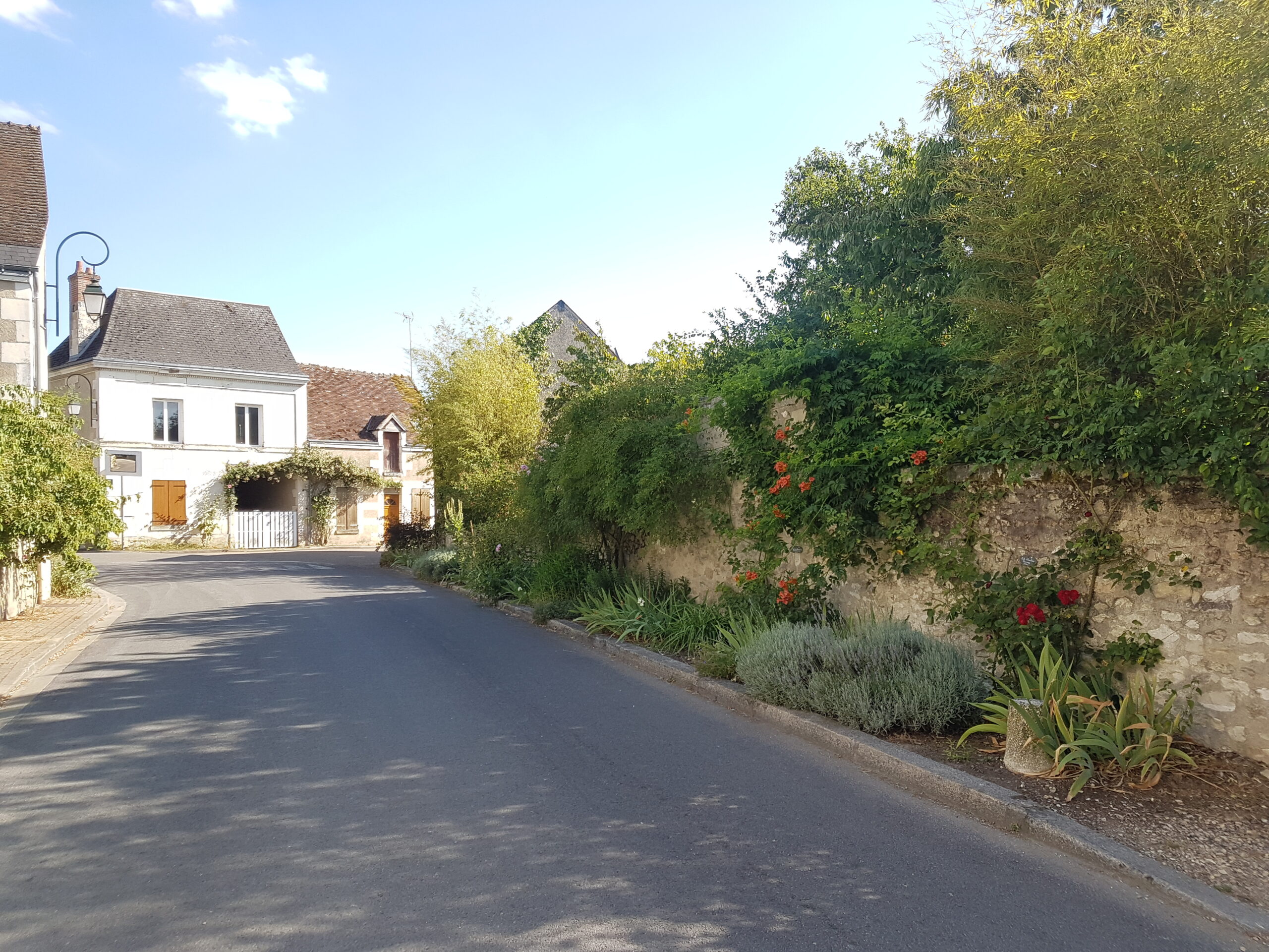 Lire la suite à propos de l’article CHÉDIGNY, VILLAGE-JARDIN