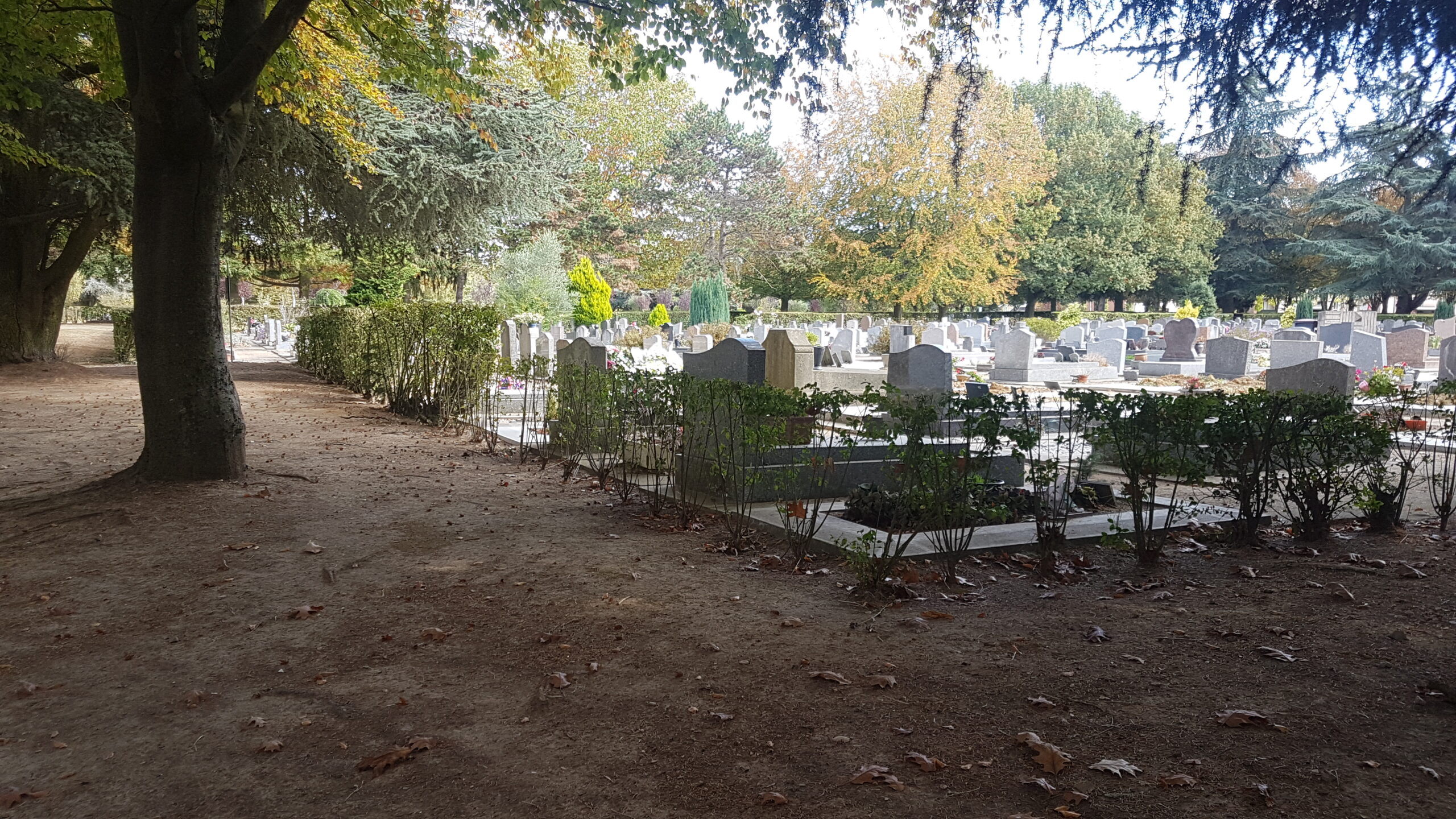 Lire la suite à propos de l’article CLAMART, CIMETIERE