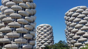 Lire la suite à propos de l’article CRÉTEIL, CHOUX