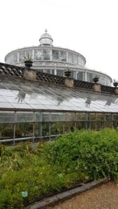 Lire la suite à propos de l’article COPENHAGUE, JARDIN-BOTANIQUE