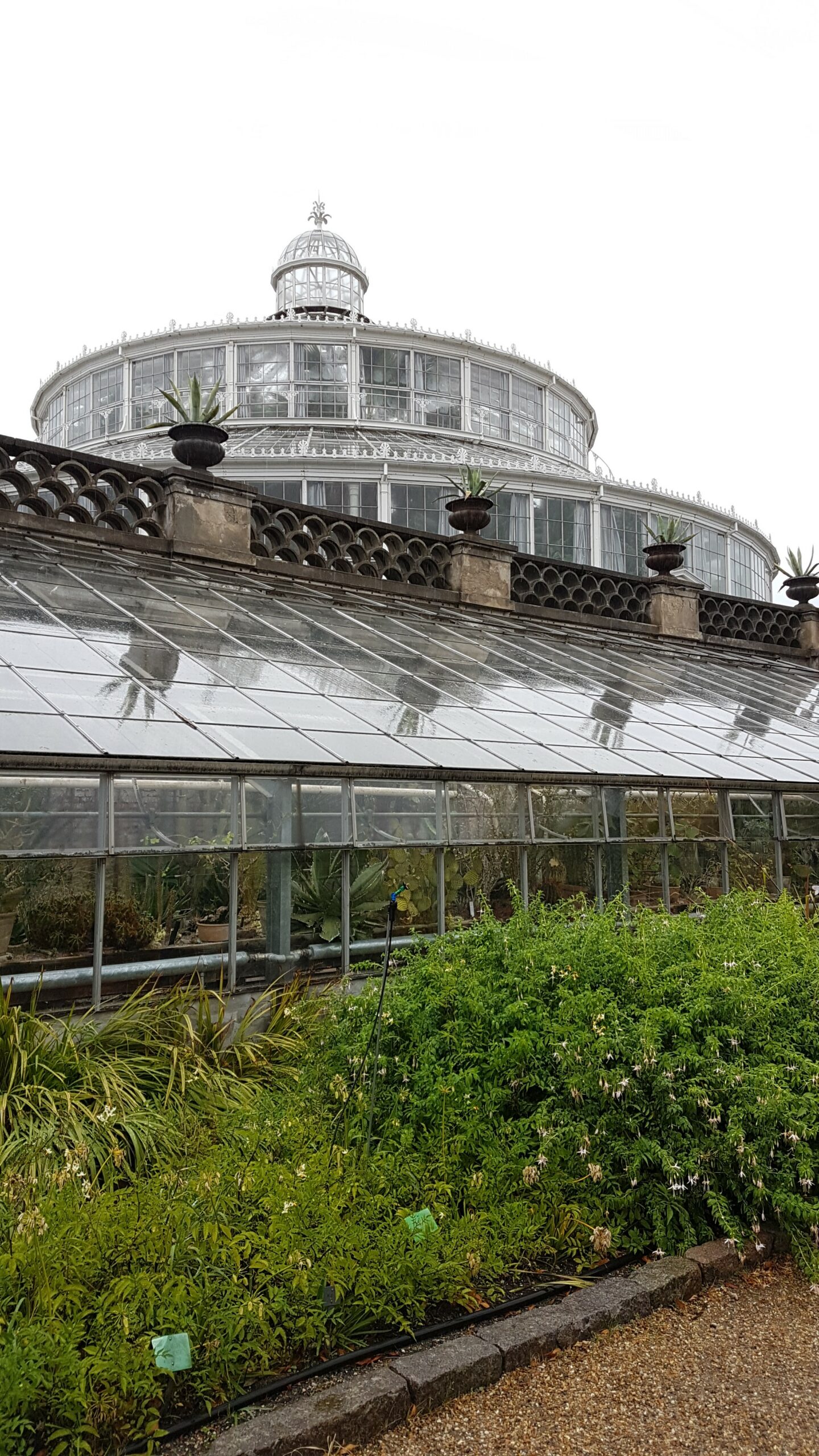Lire la suite à propos de l’article COPENHAGUE, JARDIN-BOTANIQUE