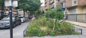 Lire la suite à propos de l’article ÉPINAY-SUR-SEINE, AVENUE-GALLIENI