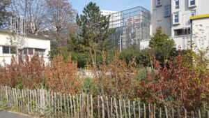 Lire la suite à propos de l’article ÉPINAY-SUR-SEINE, ECOLE-GEORGES-MARTIN