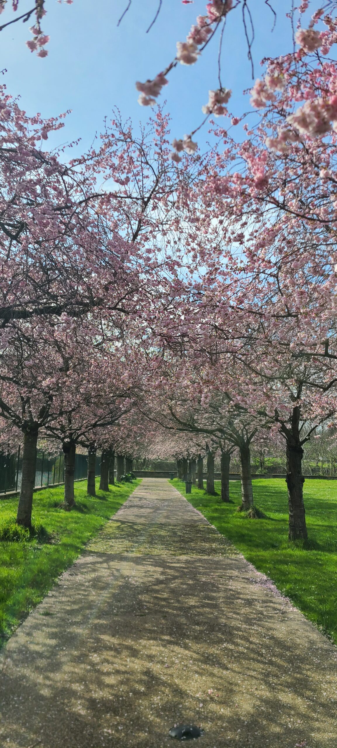 You are currently viewing ÉPINAY-SUR-SEINE, PARC-GOURAUD