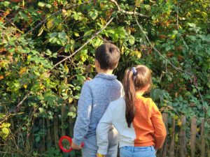 Lire la suite à propos de l’article ÉPINAY-SUR-SEINE, RESERVE-ECOLOGIQUE