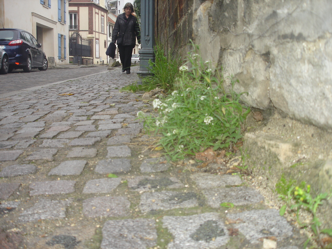 You are currently viewing ÉPINAY-SUR-SEINE, RUE-DU-MONT