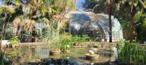 Lire la suite à propos de l’article ESPAGNE, VALENCE, JARDIN-BOTANIQUE
