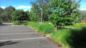 Lire la suite à propos de l’article GENNEVILLIERS, CENTRE-COMMERCIAL-DU-VIEUX-CHEMIN-DE-SAINT-DENIS