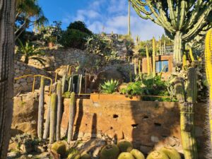 Lire la suite à propos de l’article ITALIE, BORDIGHERA, JARDIN-PALLANCA