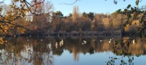 Lire la suite à propos de l’article LA COURNEUVE, PARC-DEPARTEMENTAL-GEORGES-VALBON