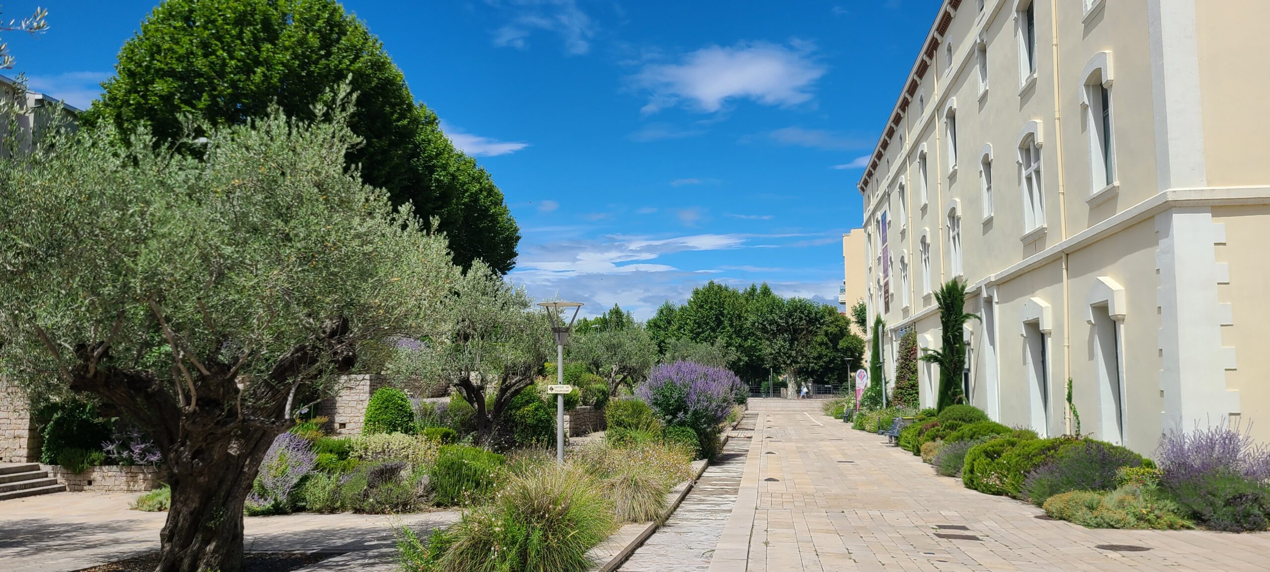 You are currently viewing MONTÉLIMAR, VILLE