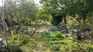 Lire la suite à propos de l’article MONTREUIL, MURS-A-PECHES
