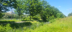 Lire la suite à propos de l’article NANTERRE, PARC-DU-CHEMIN-DE-L-ILE