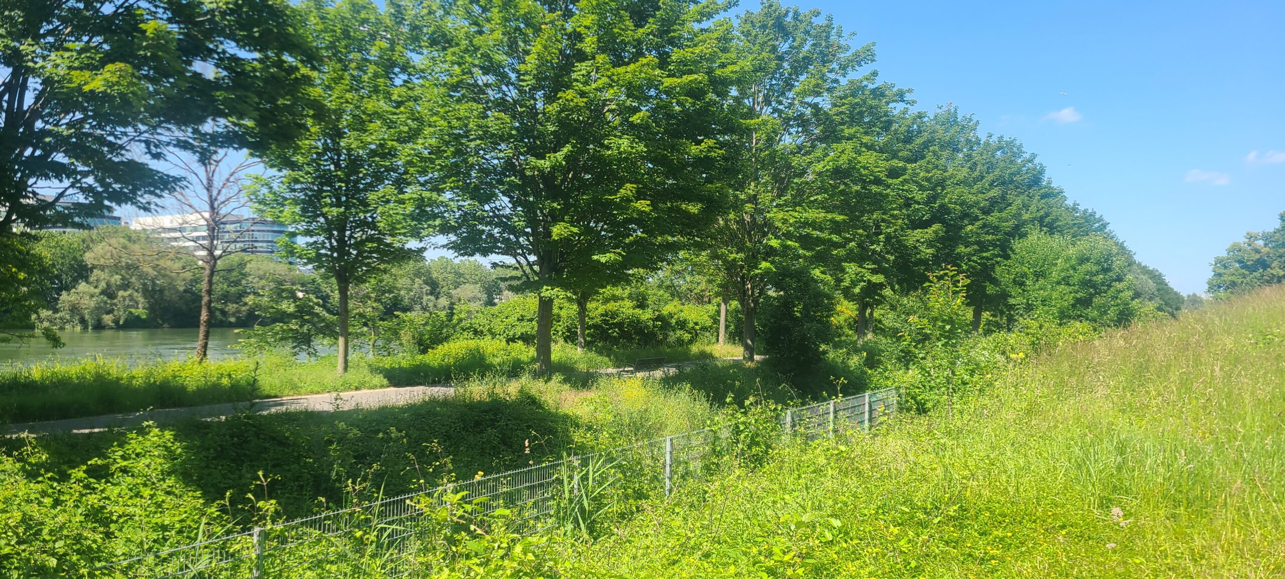 You are currently viewing NANTERRE, PARC-DU-CHEMIN-DE-L-ILE