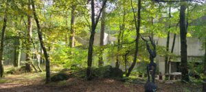 Lire la suite à propos de l’article NEMOURS, MUSEE-DE-LA-PREHISTOIRE