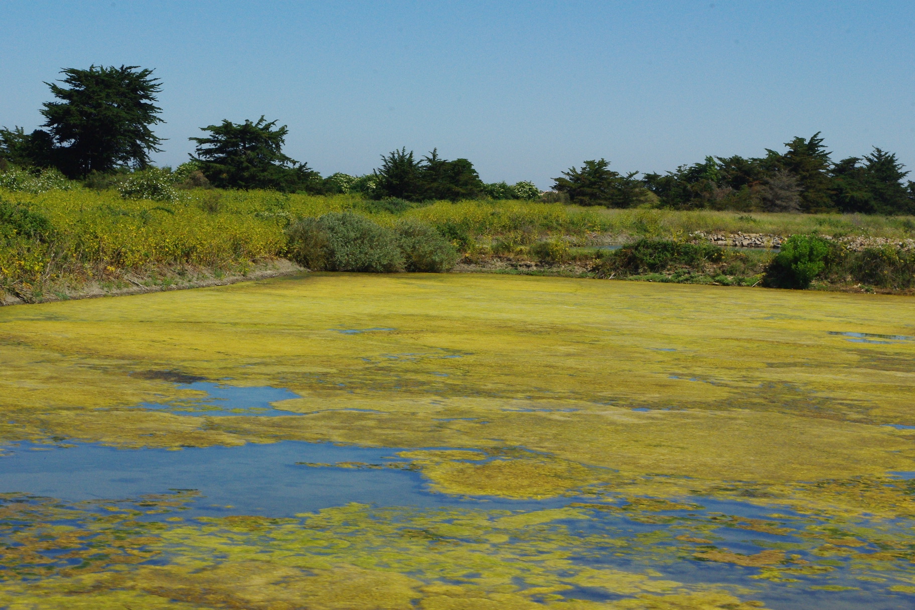 You are currently viewing NOIRMOUTIER-EN-L’ÎLE, PAYSAGES