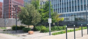 Lire la suite à propos de l’article PANTIN, SAGE