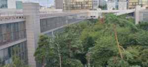 Lire la suite à propos de l’article PARIS, BIBLIOTHEQUE-NATIONALE-DE-FRANCE