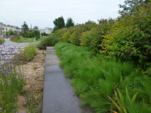Lire la suite à propos de l’article PARIS, JARDIN-D-EOLE