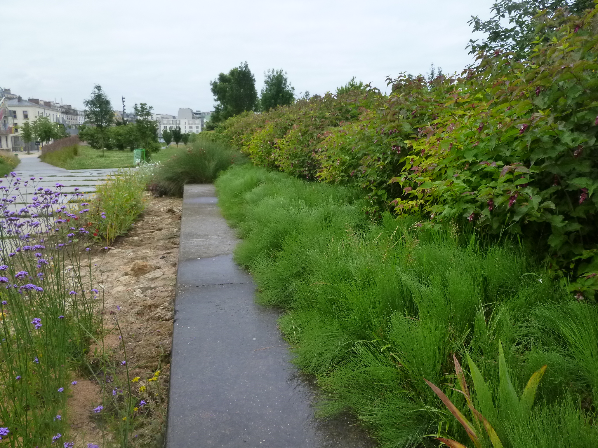 Lire la suite à propos de l’article PARIS, JARDIN-D-EOLE