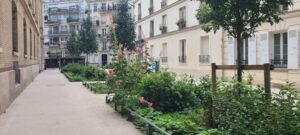 Lire la suite à propos de l’article PARIS, RUE-DE-L-ARBALETE