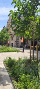 Lire la suite à propos de l’article PARIS, RUE-DES-BATIGNOLLES