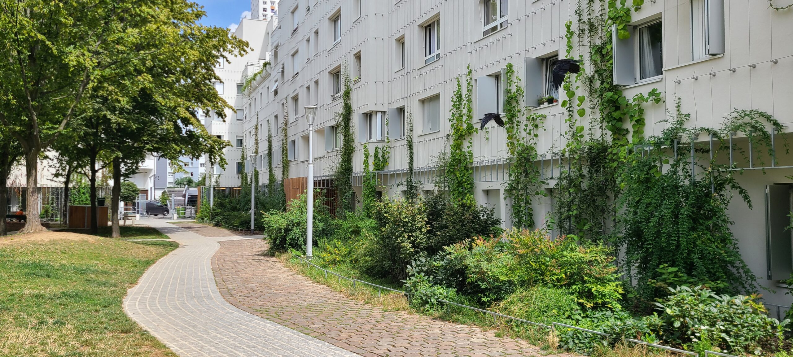 You are currently viewing PARIS, SQUARE-DE-LA-SALAMANDRE