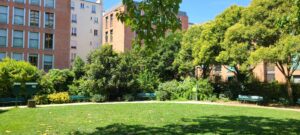 Lire la suite à propos de l’article PARIS, SQUARE-PETIT