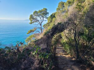 Lire la suite à propos de l’article RAYOL-CANADEL-SUR-MER, DOMAINE-DU-RAYOL_LE-JARDIN-DES-MEDITERRANEES
