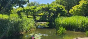 Lire la suite à propos de l’article RUEIL-MALMAISON, PARC-DES-IMPRESSIONNISTES