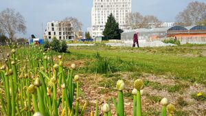 Lire la suite à propos de l’article SAINT-DENIS, FERME-URBAINE