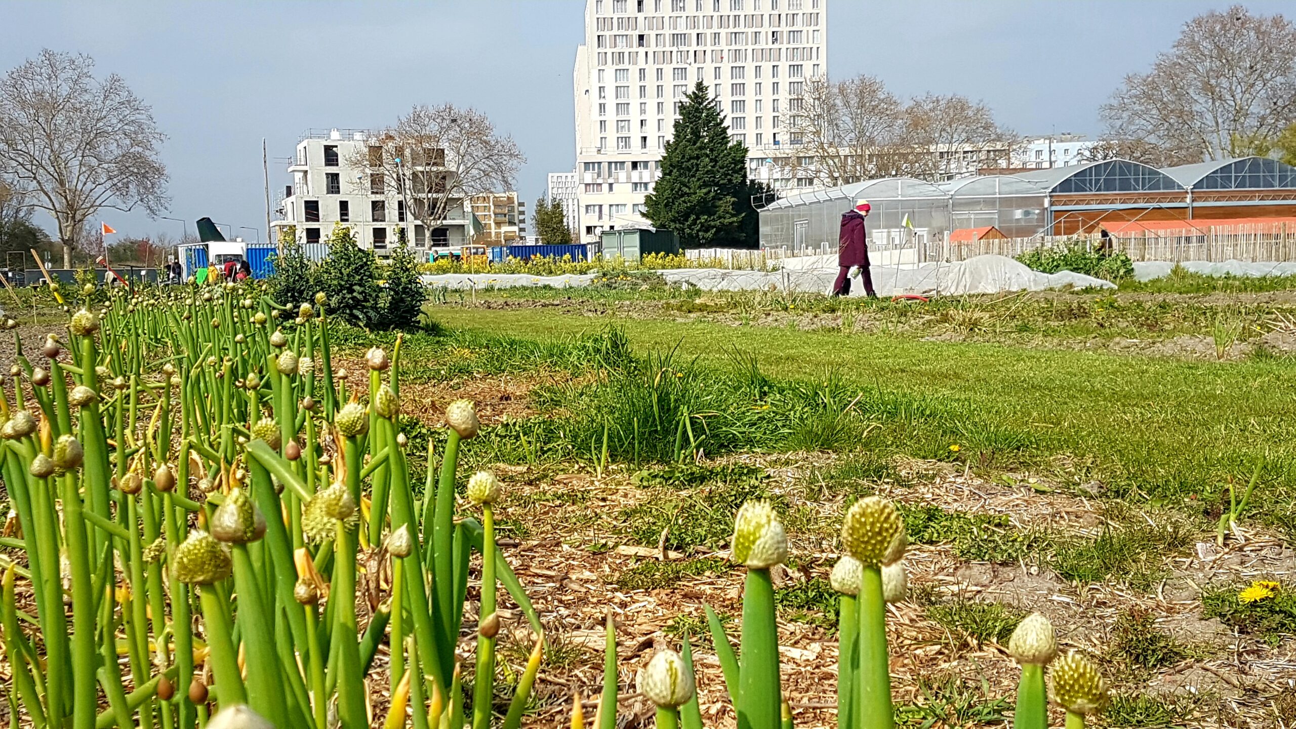 Lire la suite à propos de l’article SAINT-DENIS, FERME-URBAINE