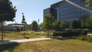 Lire la suite à propos de l’article SAINT-DENIS, PARC-DU-FRONT-POPULAIRE