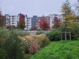 Lire la suite à propos de l’article SAINT-DENIS, SQUARE-FRANTZ-FANON