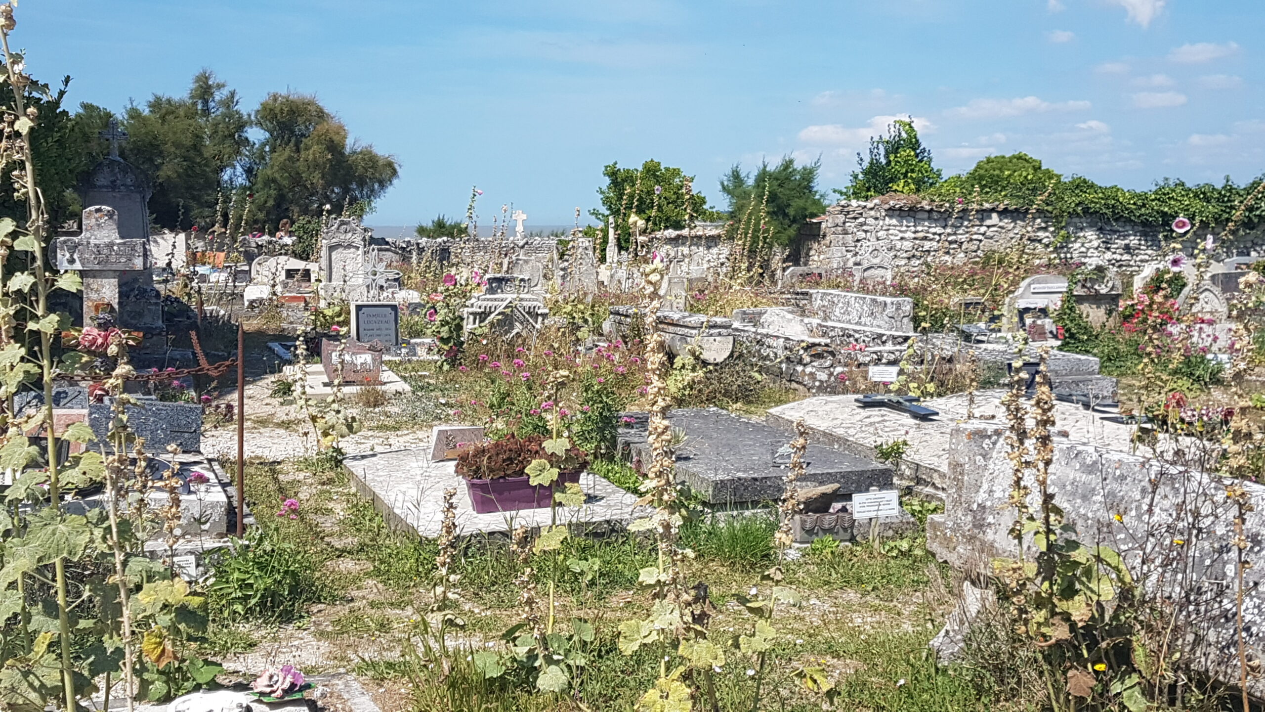 You are currently viewing TALMONT-SUR-GIRONDE, CIMETIERE