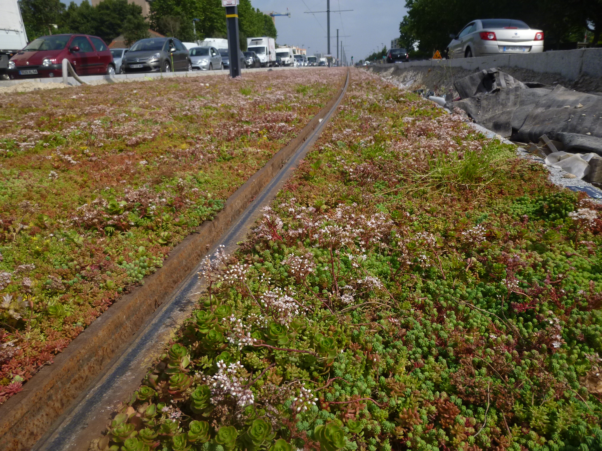 You are currently viewing THIAIS, T7-TRAMWAY