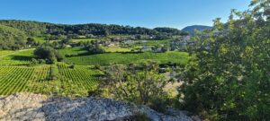 Lire la suite à propos de l’article VAISON-LA-ROMAINE, VILLE