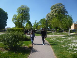 Lire la suite à propos de l’article VILLENEUVE-LE-ROI, PARC-DE-LA-FAISANDERIE