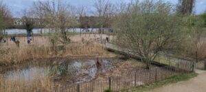 Lire la suite à propos de l’article COLOMBES, PARC-PIERRE-LAGRAVERE