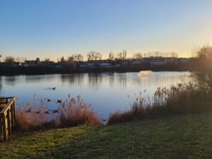 Lire la suite à propos de l’article MANTES-LA-JOLIE, LACS