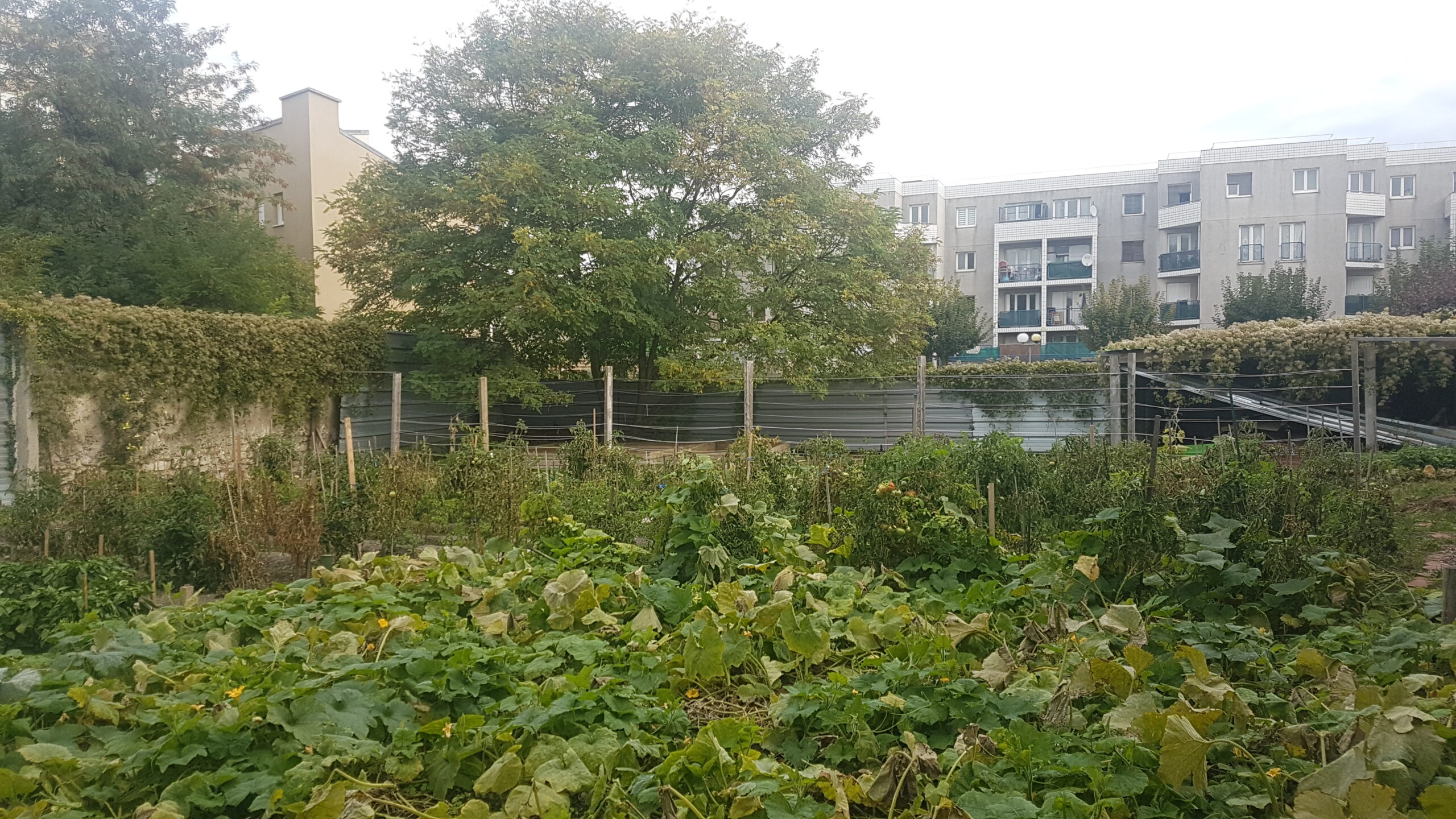 Lire la suite à propos de l’article MONTREUIL, LES-JARDINS-DU-CŒUR